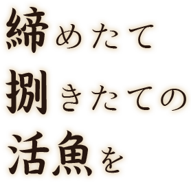 締めたて捌きたての活魚を