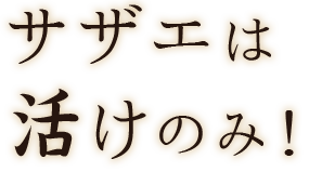 サザエは活けのみ！