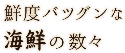 鮮度バツグンな海鮮の数々