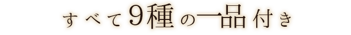 すべて9種の一品付き